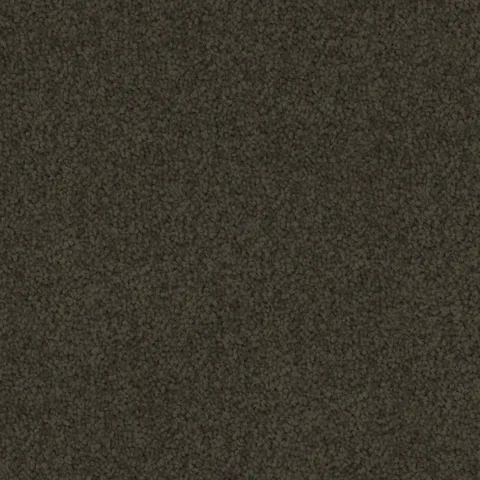 Stone Partition carpet swatch